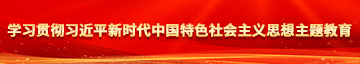 中国操老骚逼网学习贯彻习近平新时代中国特色社会主义思想主题教育